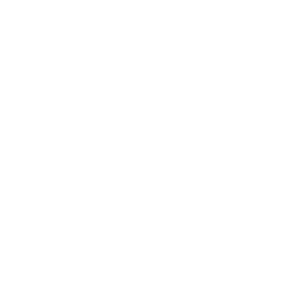 Experience Logo