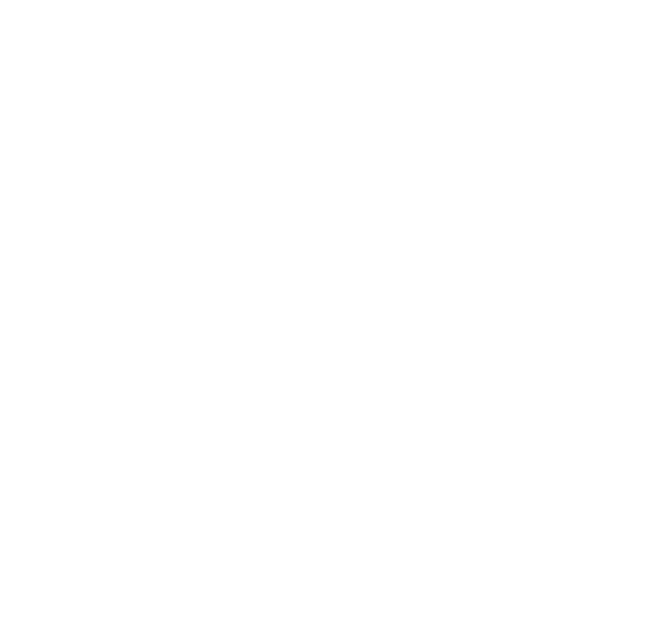 Experience Logo
